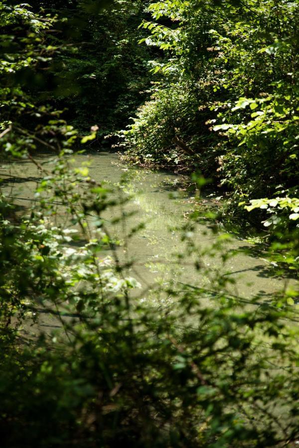 Le Domaine Du Cerf - Gites, Nature Et Spa Saint-Ouen-les-Vignes Exterior photo